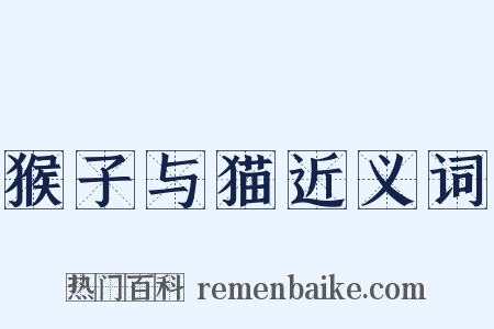 猴子与猫近义词是什么意思的图片